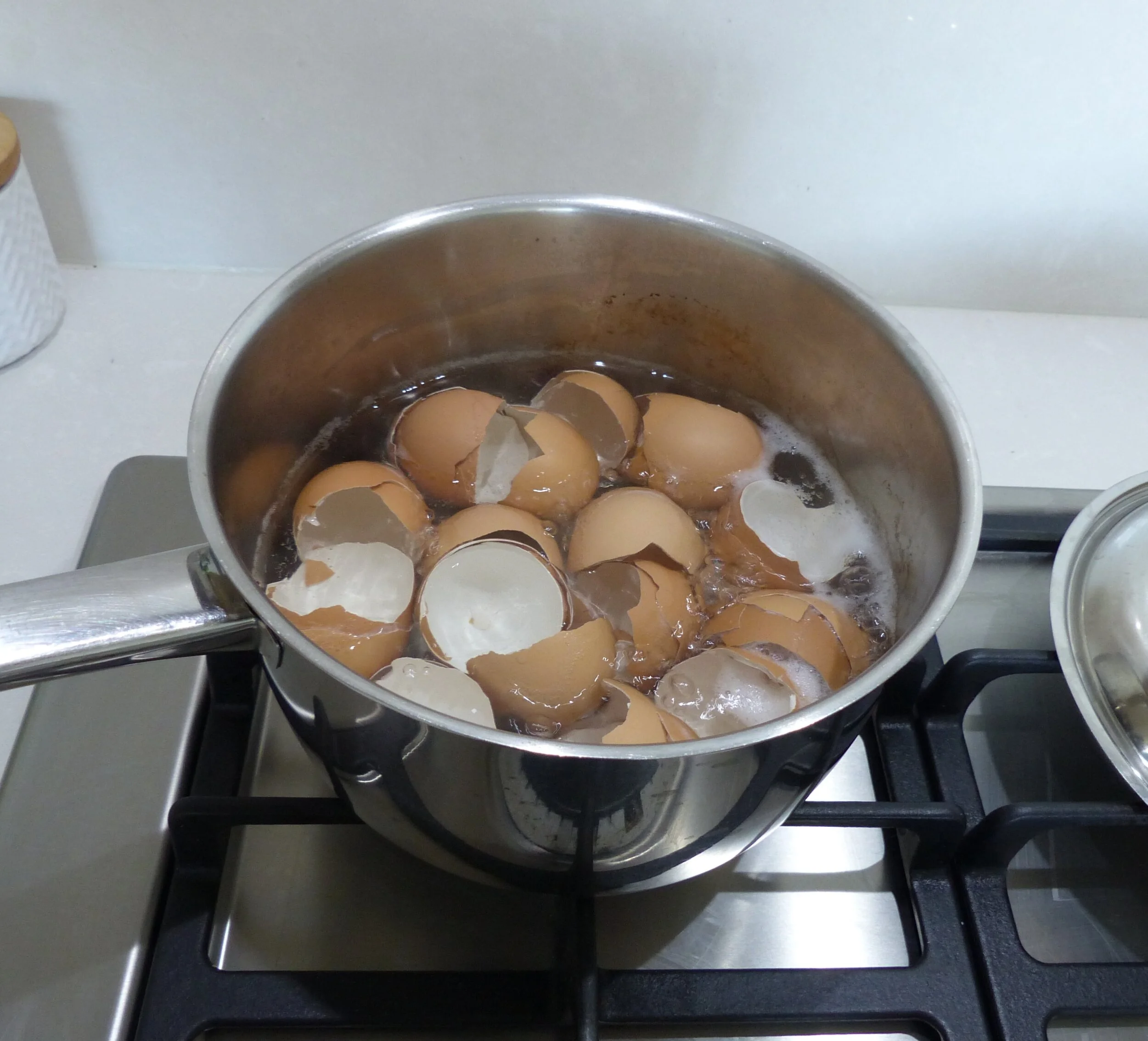 what happens if i boil eggshell in water know gardening hackे